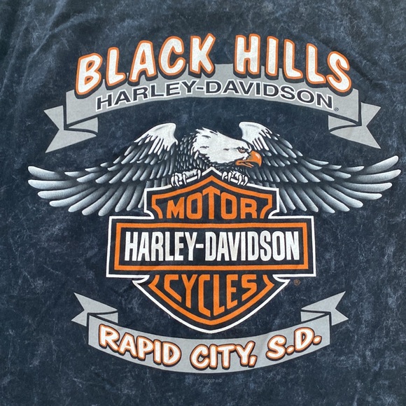 EUC Vintage Style 2015 Harley Davidson T-shirt - Picture 5 of 5